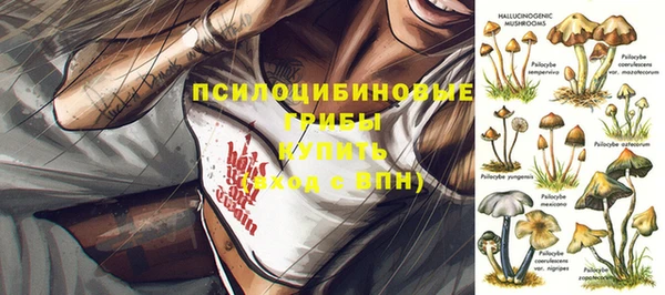 стаф Кукмор