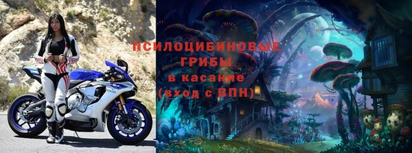 стаф Кукмор