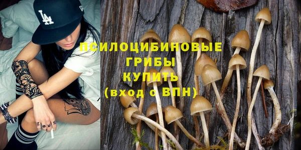 прущая мука Ладушкин