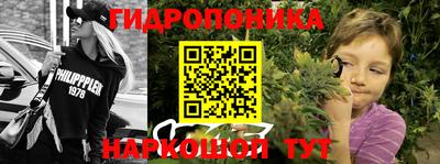 стаф Абакан