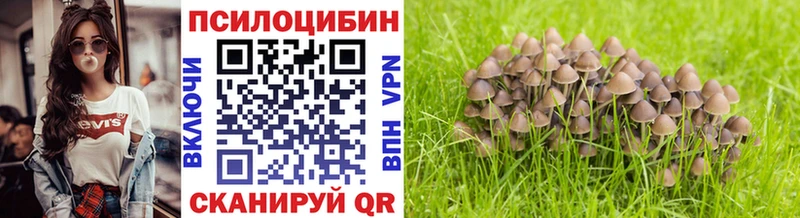 Галлюциногенные грибы прущие грибы наркошоп Мелеуз