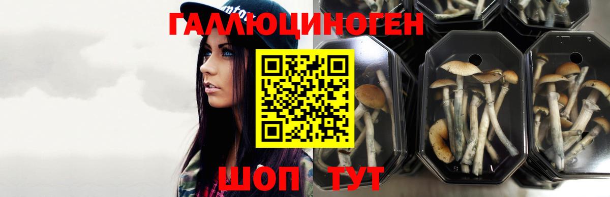 Мелеуз  Галлюциногенные грибы Psilocybe  Вход с VPN 
